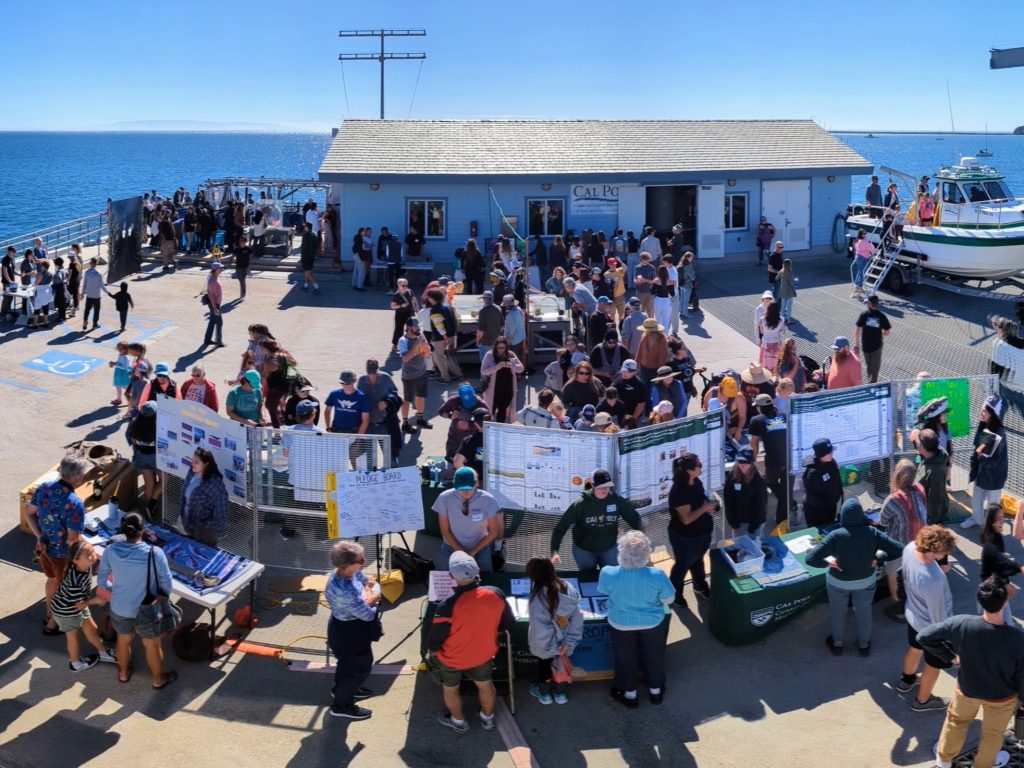 Pier LTE